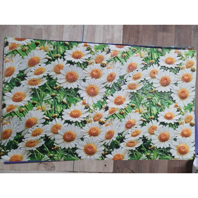 Панель ПВХ Grace Ромашкі 602х1020 мм