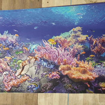 Панель ПВХ Grace Кораловий риф 602х1020 мм